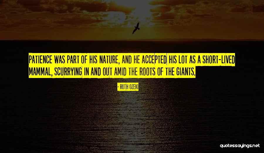 Patience Of Life Quotes By Ruth Ozeki Patience Of Life Quotes By Ruth Ozeki