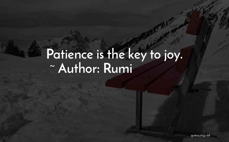 Patience Rumi Quotes By Rumi