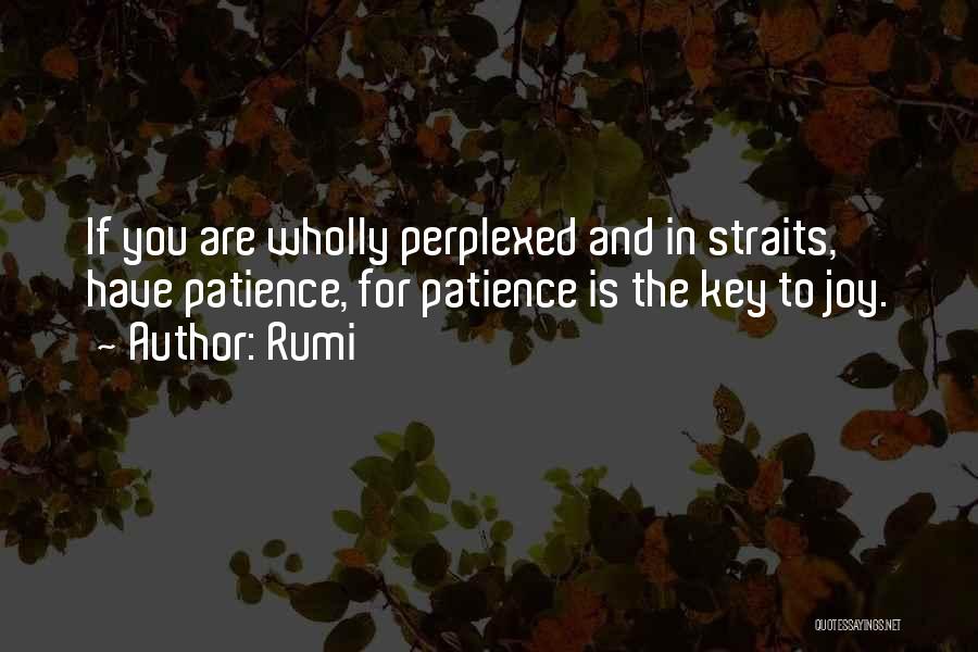 Patience Rumi Quotes By Rumi