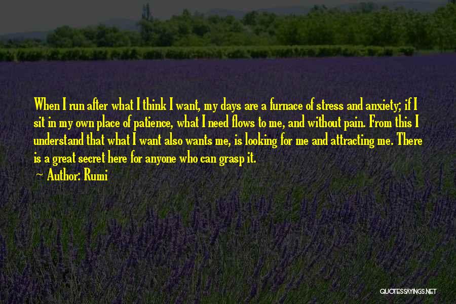 Patience Running Out Quotes By Rumi