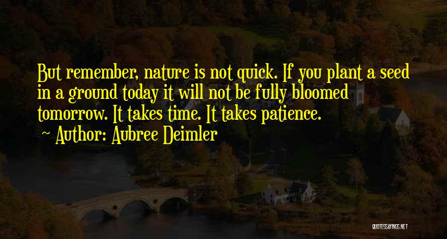 Patience Takes Time Quotes By Aubree Deimler