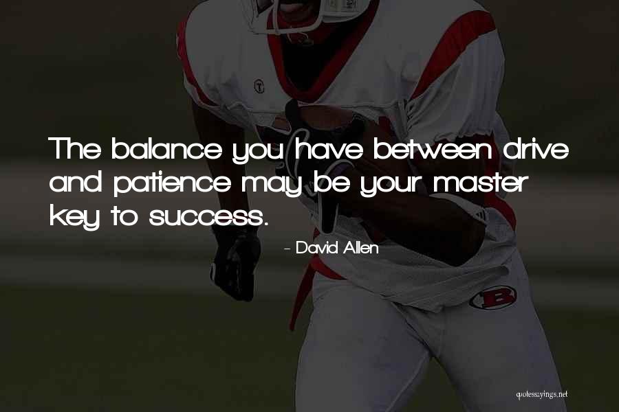 Patience To Success Quotes By David Allen