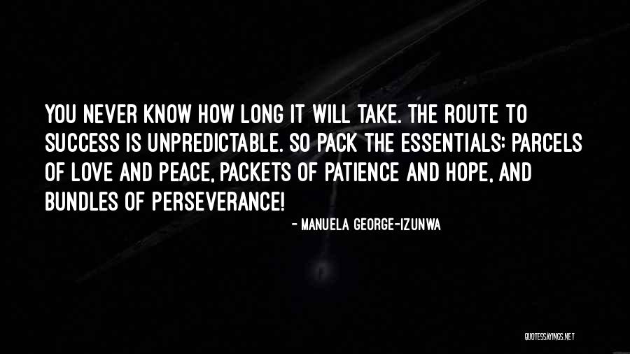 Patience To Success Quotes By Manuela George-Izunwa