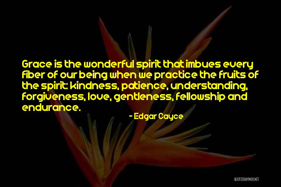 Patience Understanding And Love Quotes By Edgar Cayce