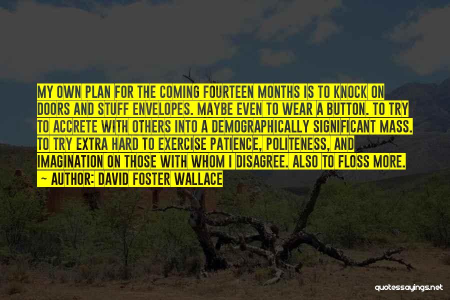Patience With Others Quotes By David Foster Wallace