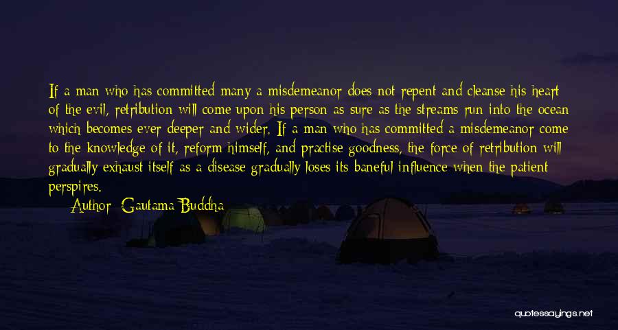 Patient Person Quotes By Gautama Buddha