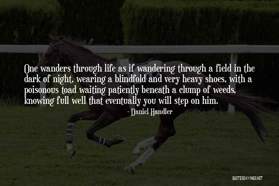 Patiently Waiting For Love Quotes By Daniel Handler Patiently Waiting For Love Quotes By Daniel Handler