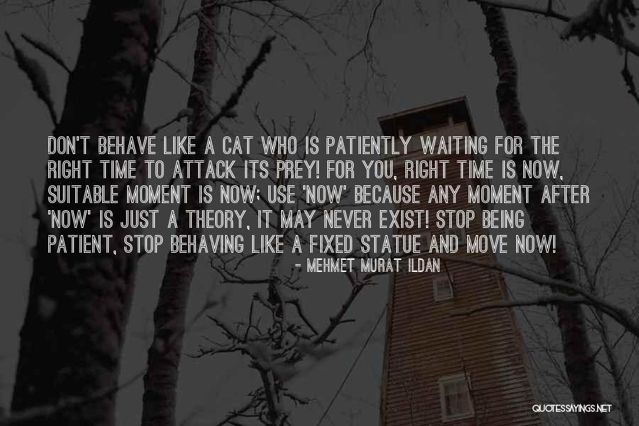 Patiently Waiting For You Quotes By Mehmet Murat Ildan Patiently Waiting For You Quotes By Mehmet Murat Ildan