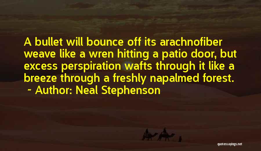 Patio Quotes By Neal Stephenson