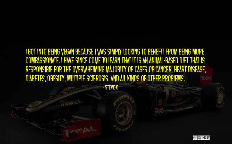 Patlagica Vanata Quotes By Steve-O Patlagica Vanata Quotes By Steve-O