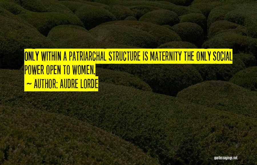 Patriarchal Quotes By Audre Lorde