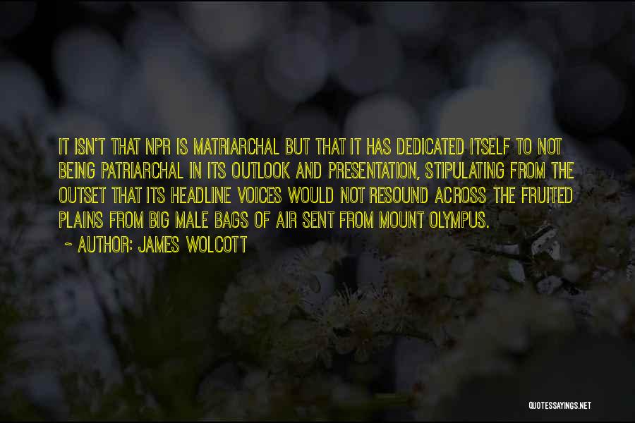 Patriarchal Quotes By James Wolcott