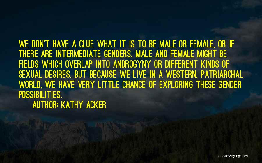 Patriarchal Quotes By Kathy Acker