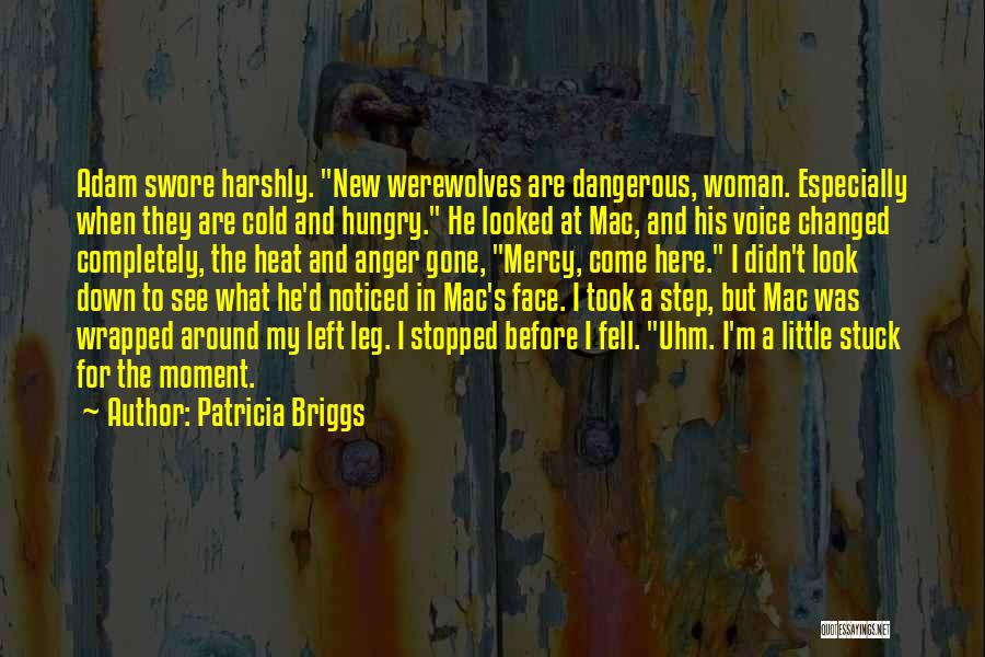 Patricia Briggs Quotes 617124