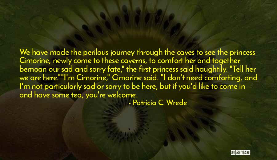 Patricia C. Wrede Quotes 1502444