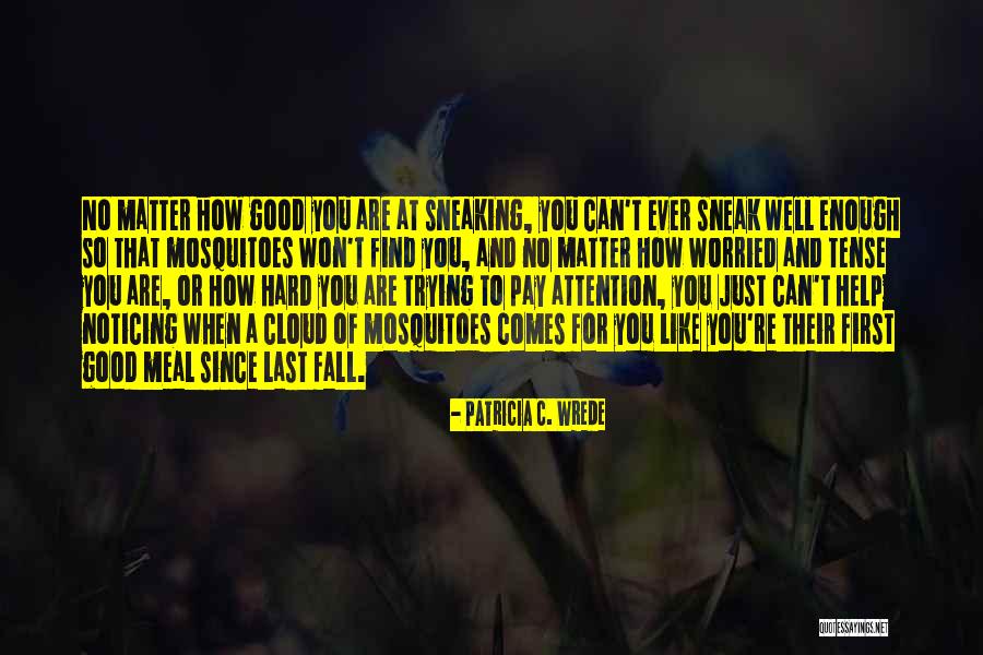 Patricia C. Wrede Quotes 1507656 Patricia C. Wrede Quotes 1507656