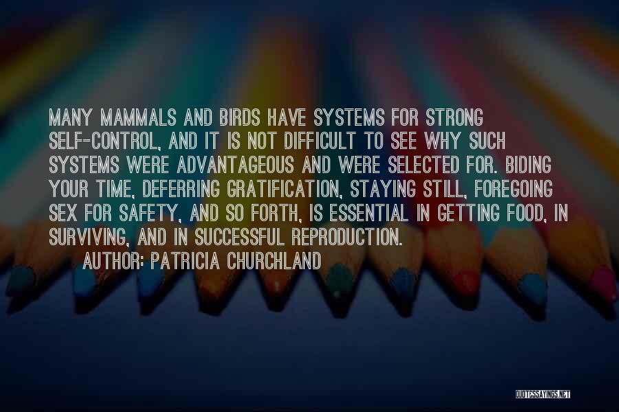 Patricia Churchland Quotes 860184