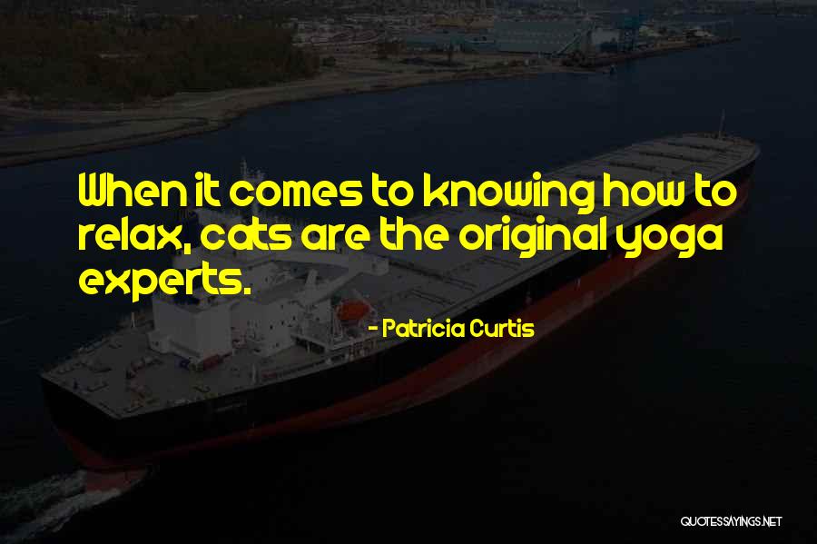 Patricia Curtis Quotes 1311291