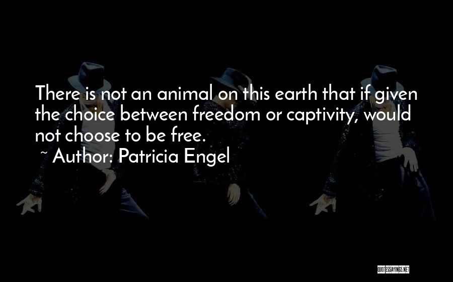 Patricia Engel Quotes 798027