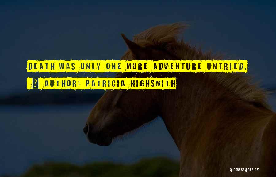 Patricia Highsmith Quotes 1208033