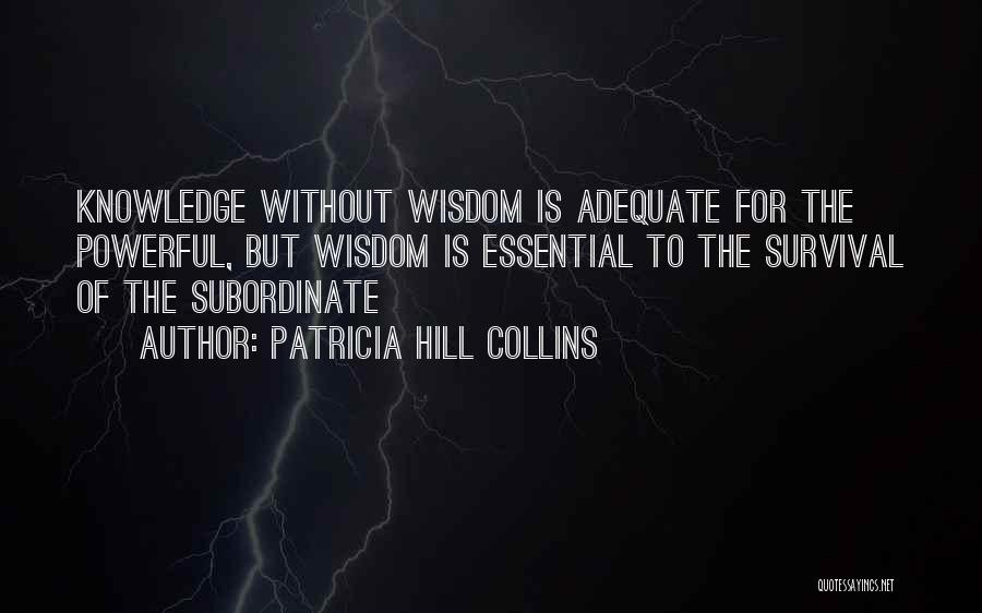 Patricia Hill Collins Quotes 131223