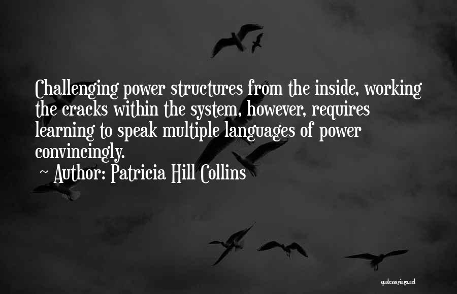 Patricia Hill Collins Quotes 315493