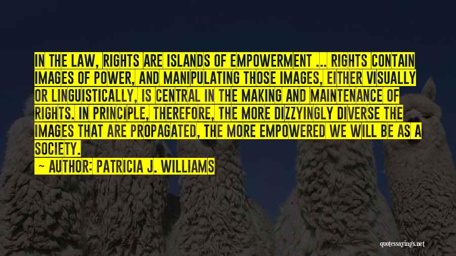 Patricia J. Williams Quotes 545223