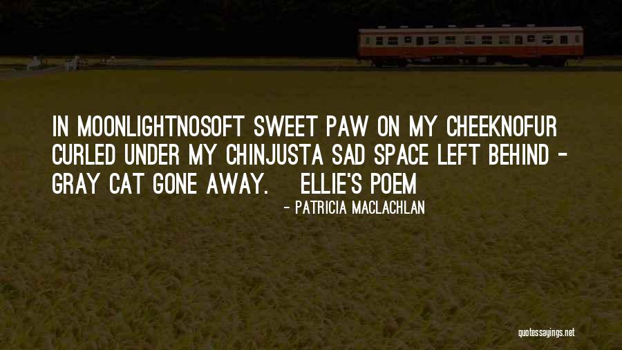 Patricia MacLachlan Quotes 454835