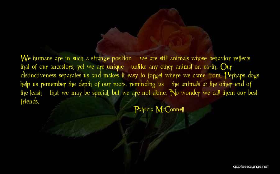 Patricia McConnell Quotes 622699 Patricia McConnell Quotes 622699