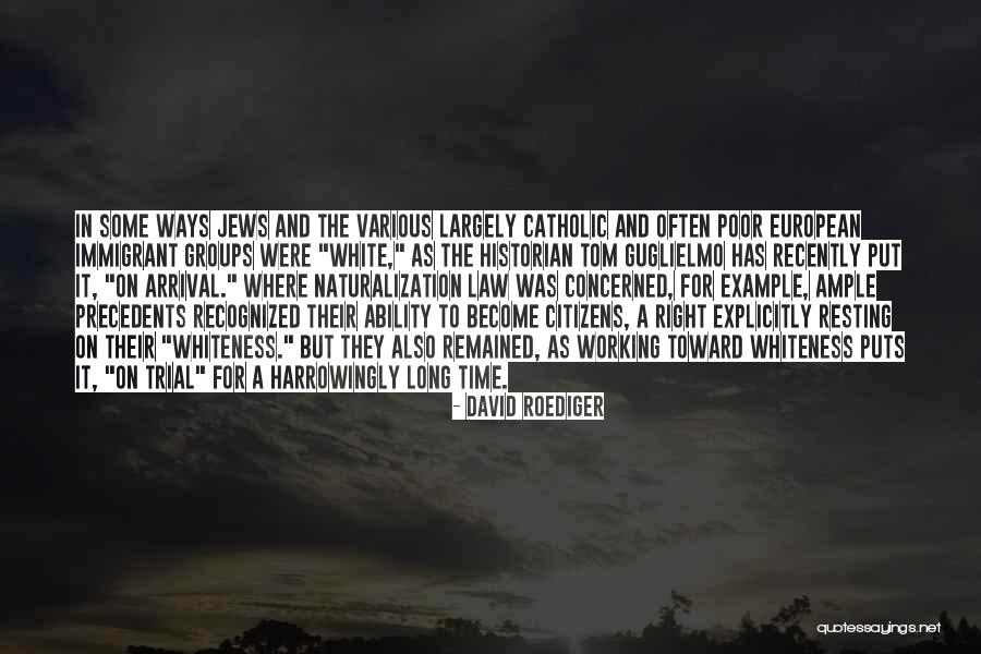 Patricija Belousova Quotes By David Roediger Patricija Belousova Quotes By David Roediger