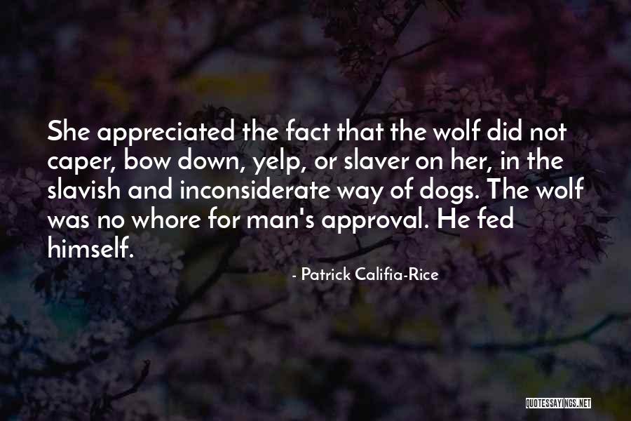 Patrick Califia-Rice Quotes 1927337