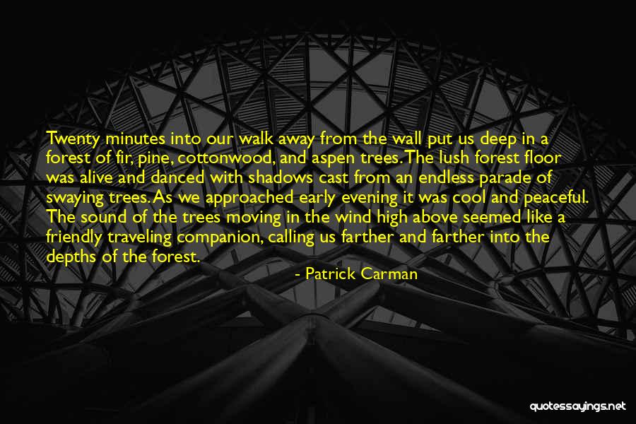 Patrick Carman Quotes 1345887