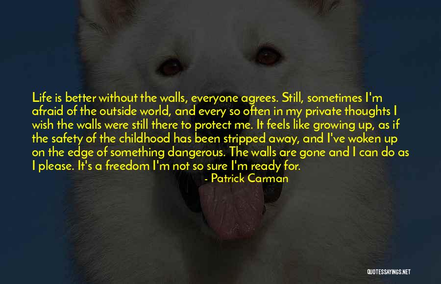 Patrick Carman Quotes 896377