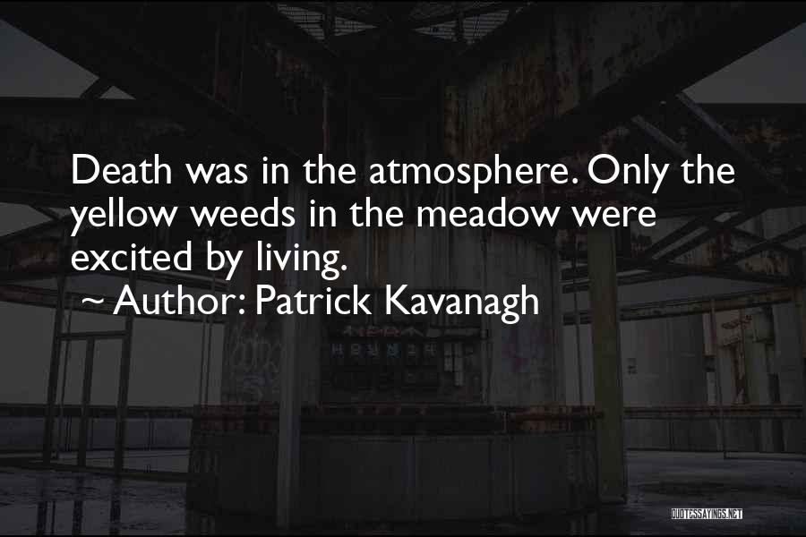 Patrick Kavanagh Quotes 1270360