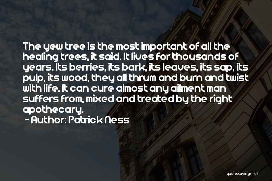 Patrick Ness Quotes 1565088
