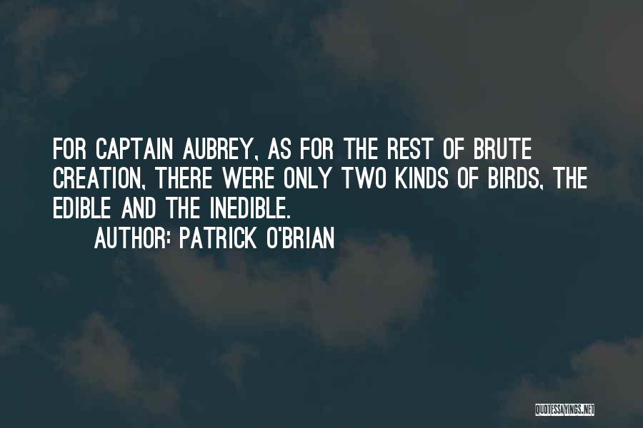 Patrick O Brian Quotes By Patrick O'Brian