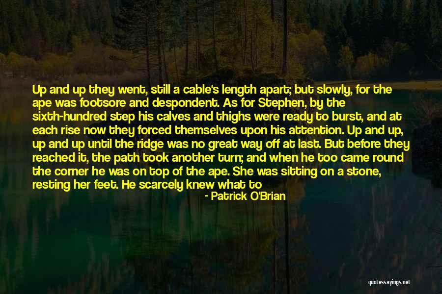 Patrick O'Brian Quotes 1169912 Patrick O'Brian Quotes 1169912
