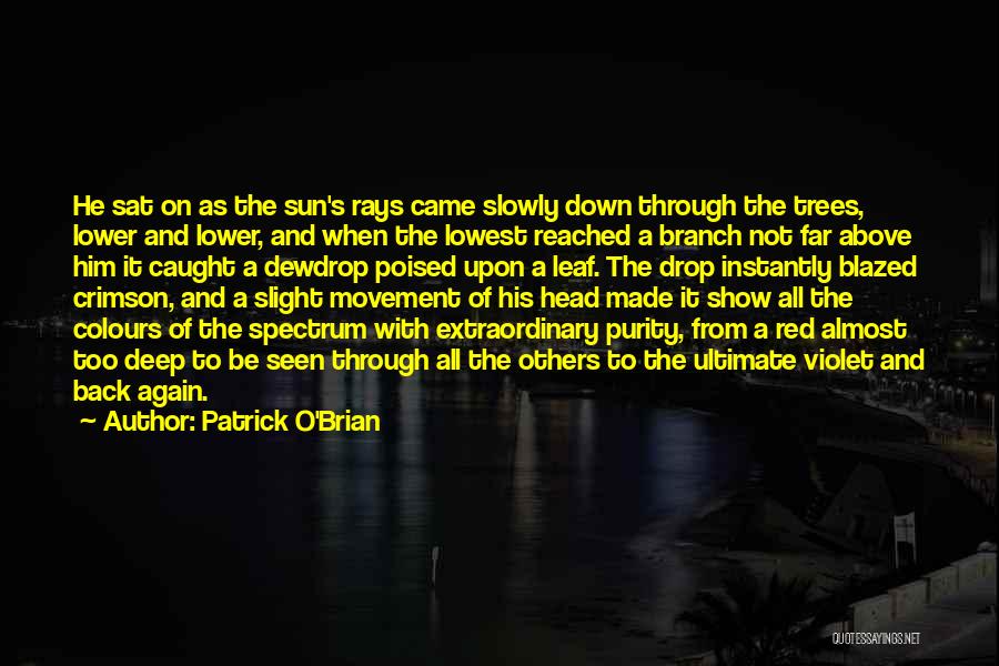 Patrick O'Brian Quotes 2044866