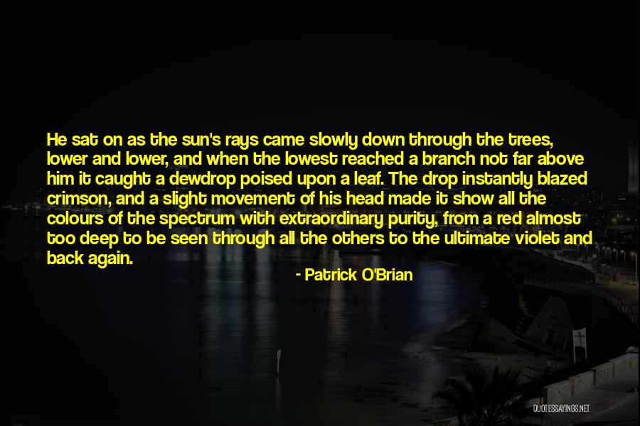 Patrick O'Brian Quotes 2044866 Patrick O'Brian Quotes 2044866