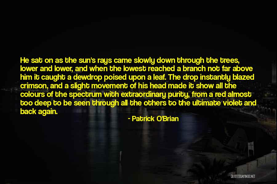 Patrick O'Brian Quotes 2044866