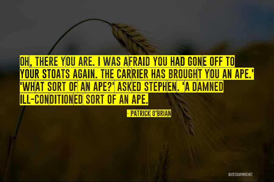 Patrick O'Brian Quotes 219380 Patrick O'Brian Quotes 219380
