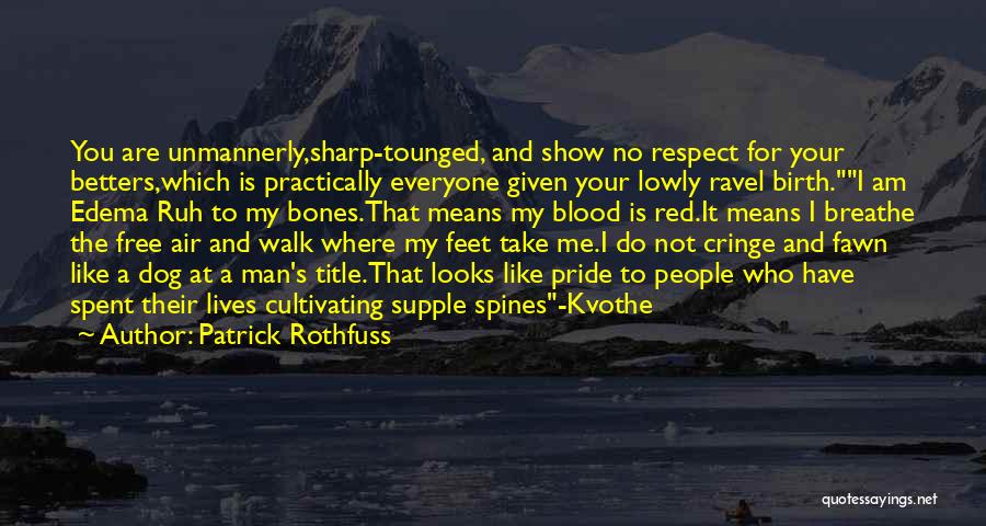 Patrick Rothfuss Quotes 2181964