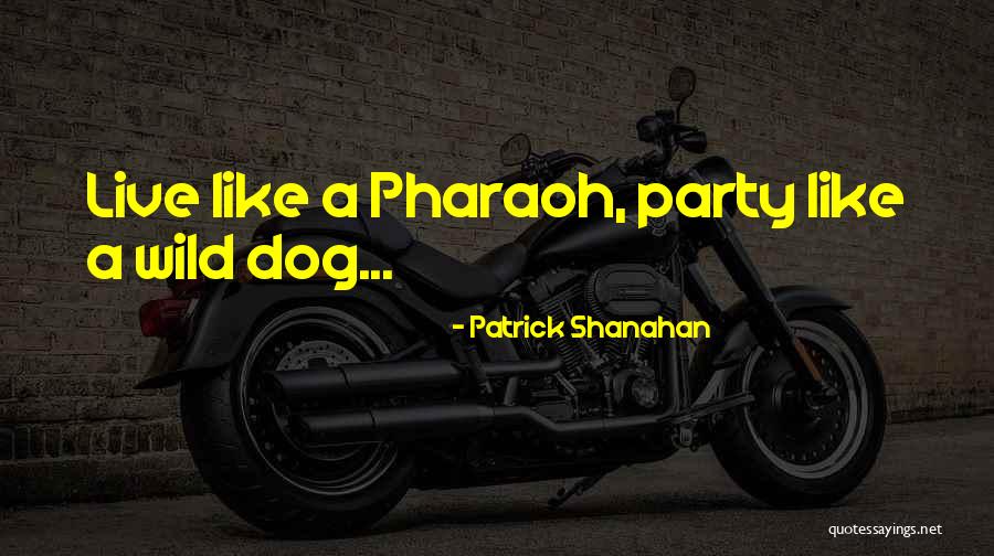 Patrick Shanahan Quotes 491463