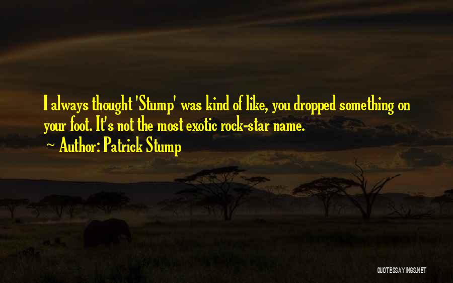 Patrick Stump Quotes 188510