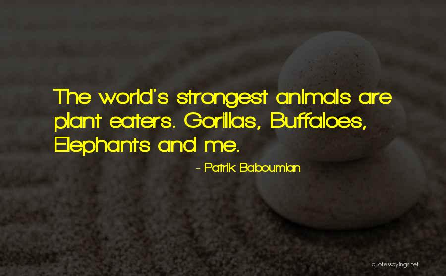 Patrik Baboumian Quotes 168574