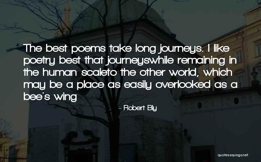 Patrina Dixon Quotes By Robert Bly Patrina Dixon Quotes By Robert Bly