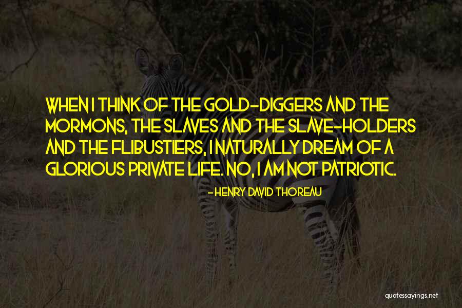 Patriotic Quotes By Henry David Thoreau