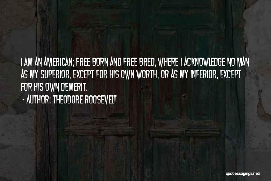 Patriotism And Freedom Quotes By Theodore Roosevelt