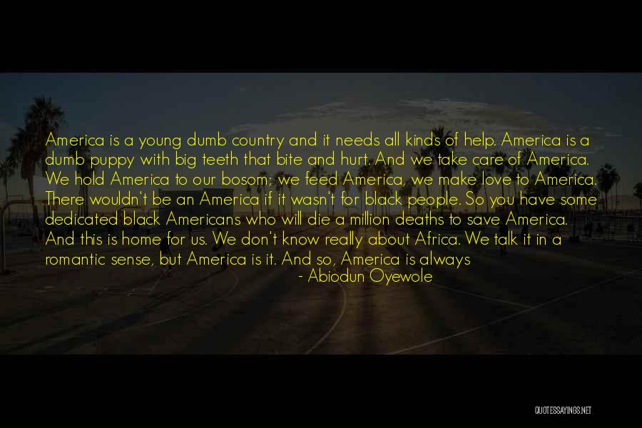 Patriotism In America Quotes By Abiodun Oyewole Patriotism In America Quotes By Abiodun Oyewole