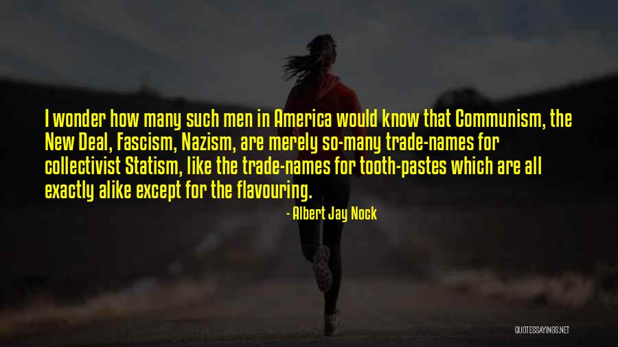 Patriotism In America Quotes By Albert Jay Nock Patriotism In America Quotes By Albert Jay Nock